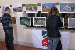  Visualizza la scheda 