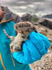  Visualizza la scheda 