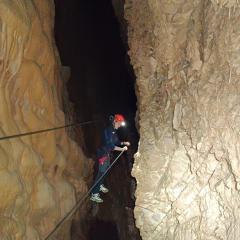  Visualizza la scheda 