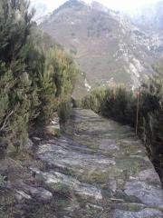  Visualizza la scheda 