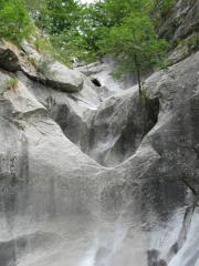  Visualizza la scheda 