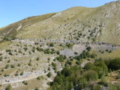  Visualizza la scheda 