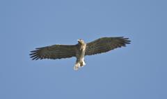  Visualizza la scheda 