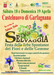  Visualizza la scheda 