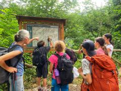  Visualizza la scheda 