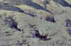 wpe23.jpg (74378 byte)