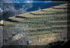 ter2.gif (141618 byte)