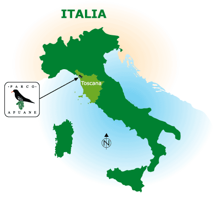 Italy's map